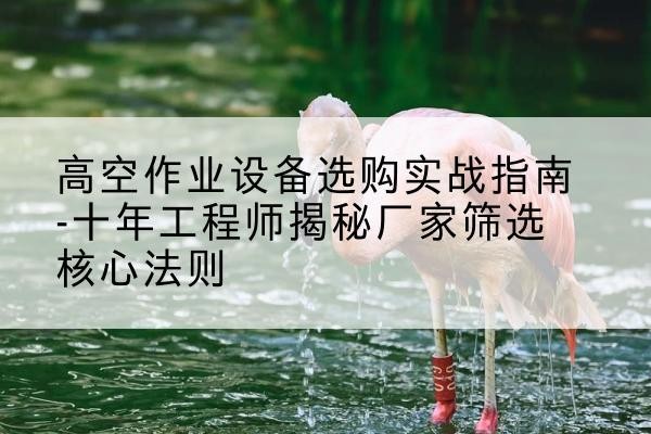 那坡剪叉式升降机厂家-高空作业设备选购实战指南-十年工程师揭秘厂家筛选核心法则