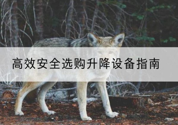 那坡升降货梯厂家推荐-*安全选购升降设备指南