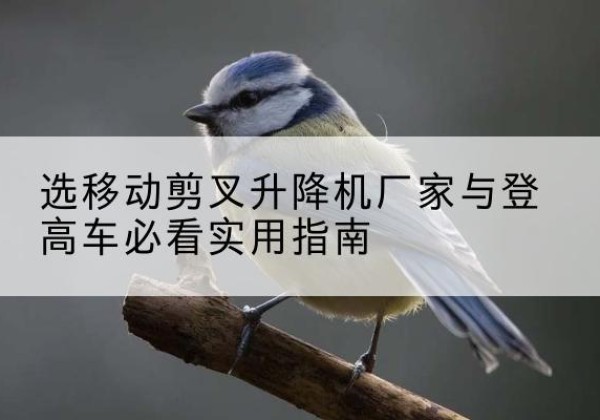 那坡电动升降机厂家-选移动剪叉升降机厂家与登高车必看实用指南