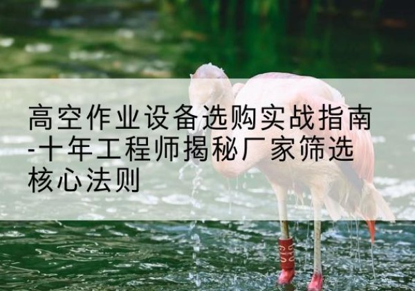 那坡剪叉式升降机厂家-高空作业设备选购实战指南-十年工程师揭秘厂家筛选核心法则